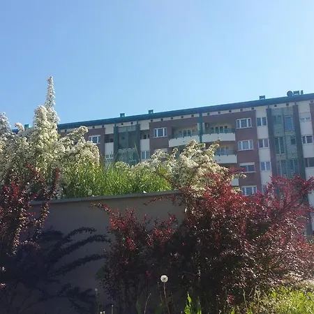 Arena Resting Lejlighed *